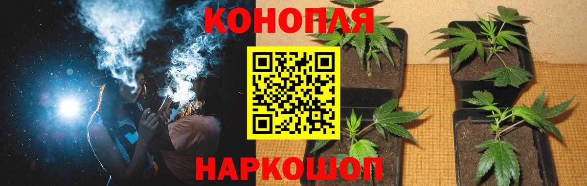 Шишки марихуана марихуана  Вход с VPN  Бошки Шишки тримм  Алейск  Бошки Шишки MAZAR 